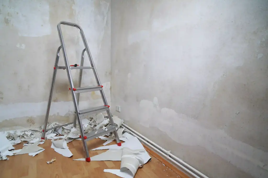 Wallpaper Removal and Installation Leberons (2)